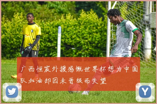 广西恒宸外援感慨世界杯想为中国队加油却因未晋级而失望