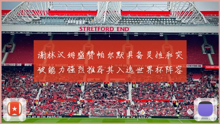 谢林汉姆盛赞帕尔默具备灵性和突破能力强烈推荐其入选世界杯阵容