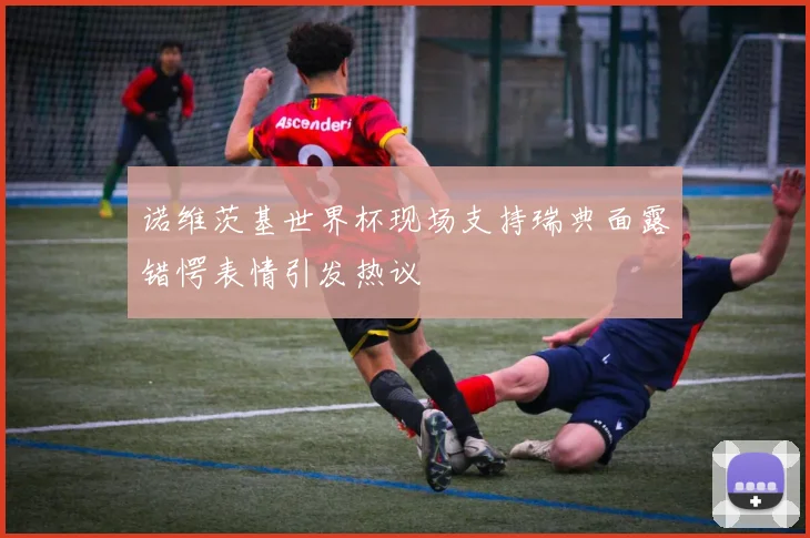诺维茨基世界杯现场支持瑞典面露错愕表情引发热议